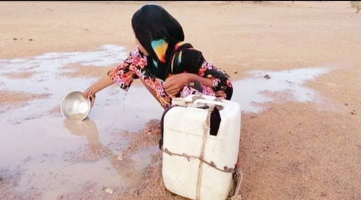 A woman crouches to fill a jerrycan from a shallow pool of standing water.