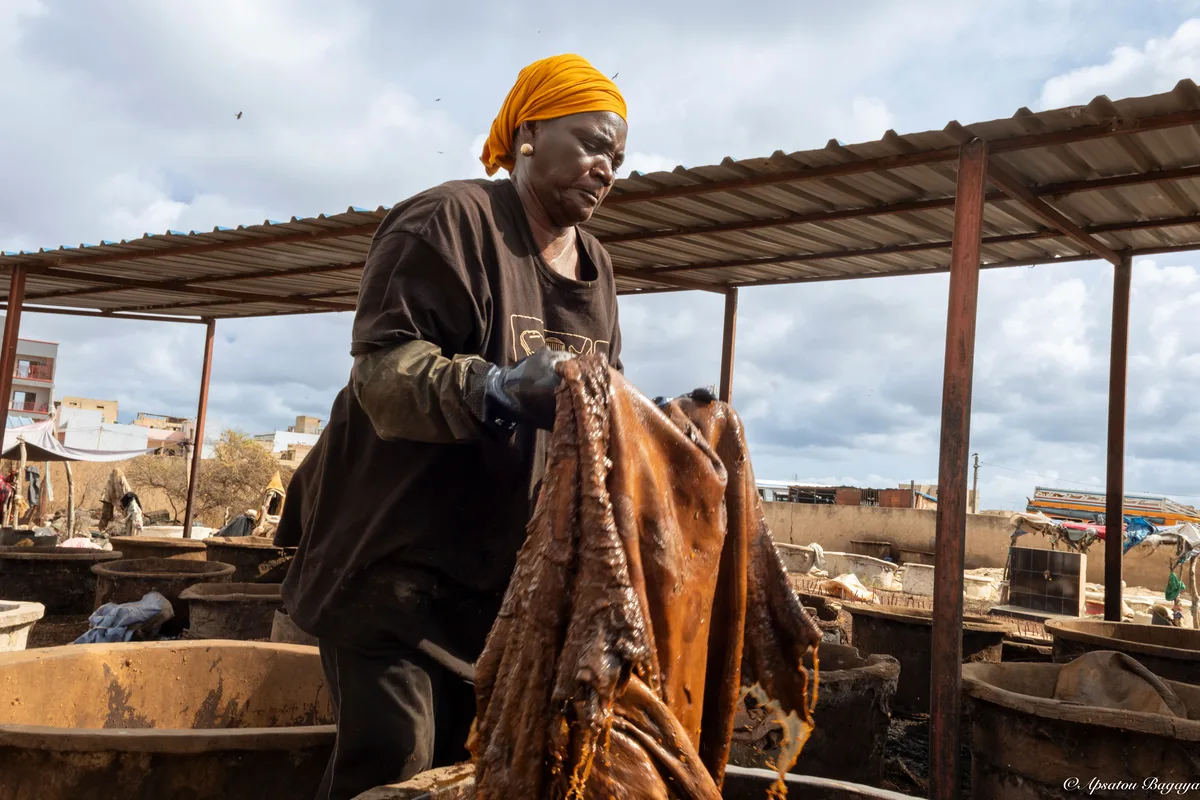 A woman in an orange headwrap and work gloves lifts a wet, dark brown hide out of a tanning vat at an open-air tannery.